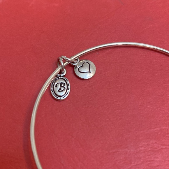 Alex and Ani Dog Silver Tone Bracelet With Bone Initial B - Picture 3 of 3
